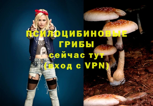 соль курить ск Алексеевка